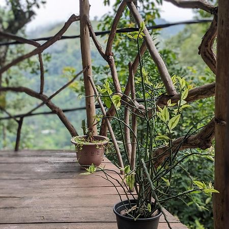 Ella Nature Nest Экстерьер фото