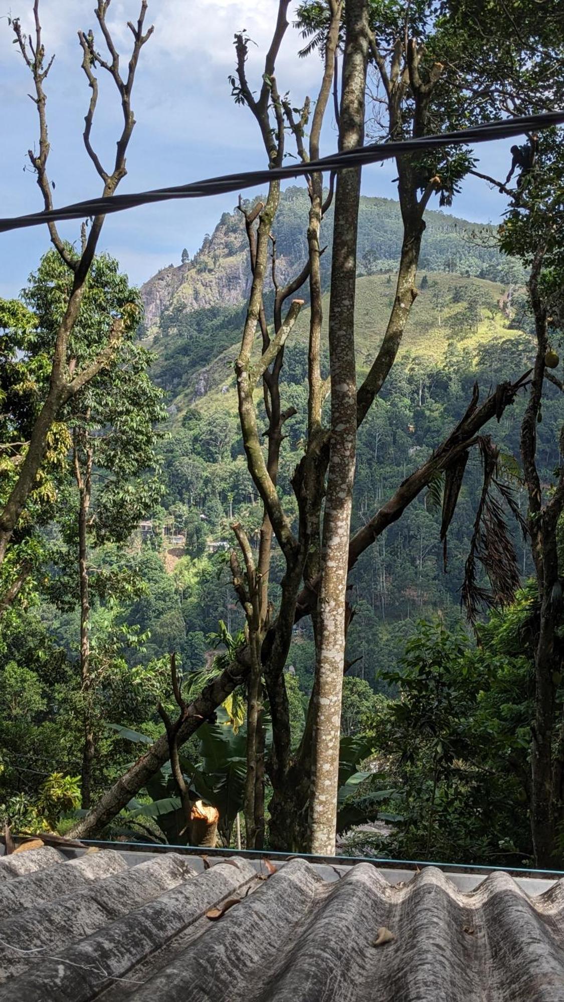 Ella Nature Nest Экстерьер фото